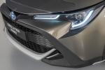 Toyota Corolla Trek Hybrid 2019 года (WW)